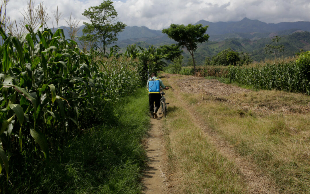 Letter from Guatemala: It’s Not a Border Crisis. It’s a Climate Crisis